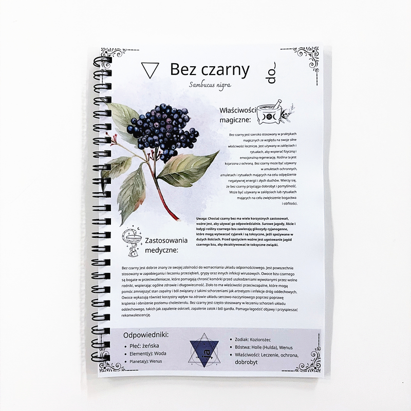The Lost Book of Herbal Remedi - Herbal Wellness In avaliação e preço