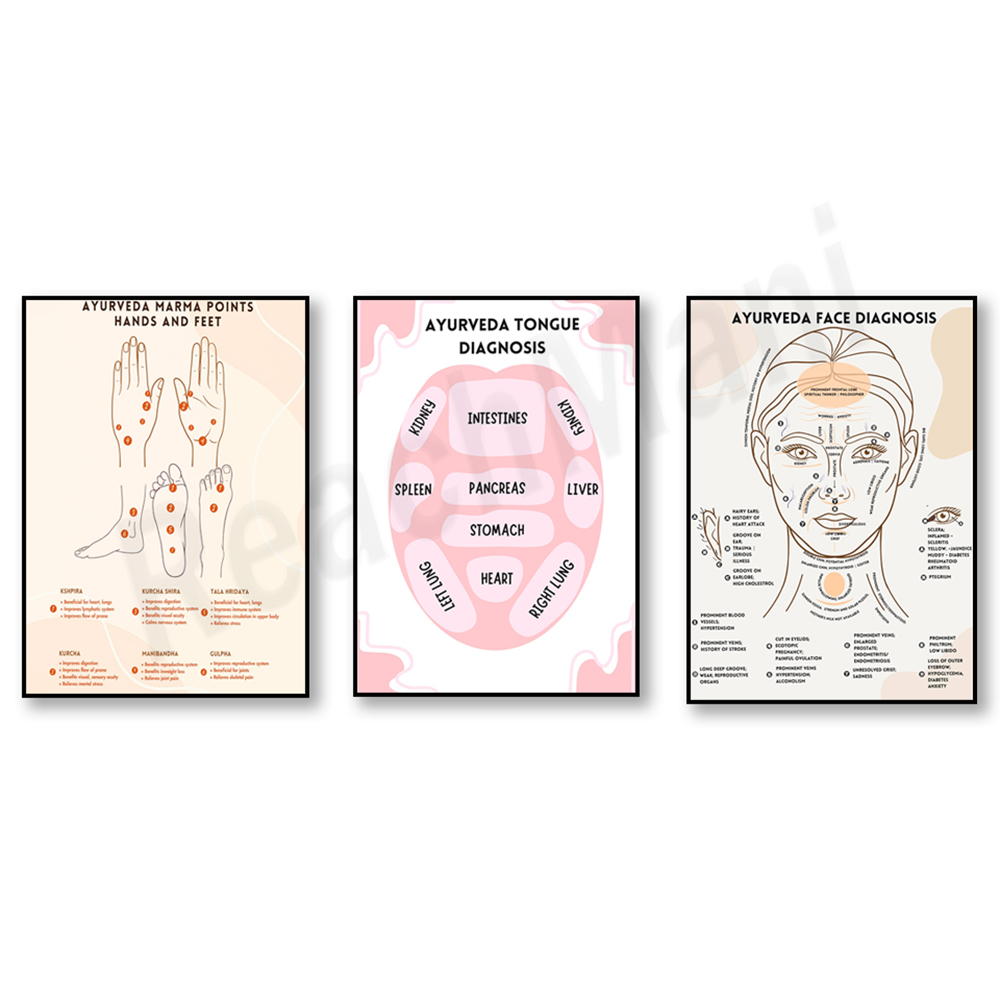 Ayurvedic energy chart, Ayurve - Ayurvedic & Herbal Wellness Kits avaliação e preço